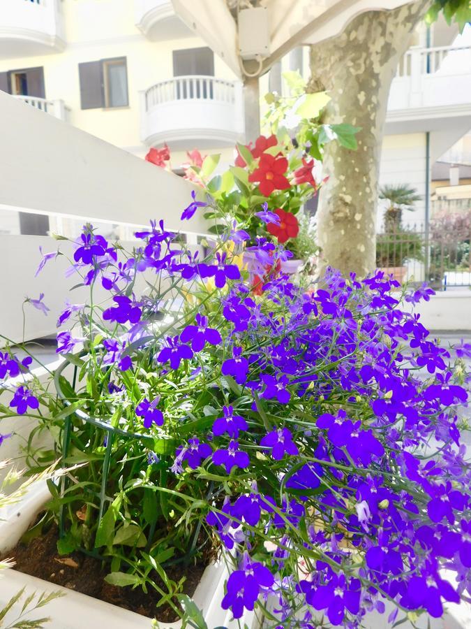 Hotel Dolores Римини Екстериор снимка
